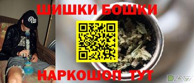 гидропоника Сланцы