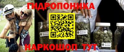 тгк Свободный
