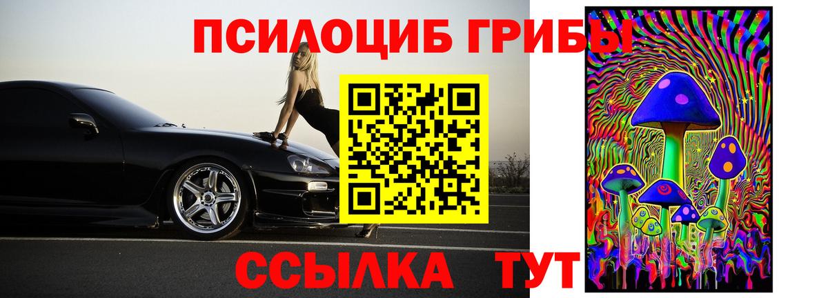 Псилоцибиновые грибы прущие грибы  где продают   Волжск  Вход с VPN 